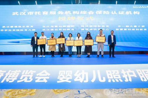 华中首家武汉市婴幼儿照护协会成立，为婴幼儿成长注入专业力量